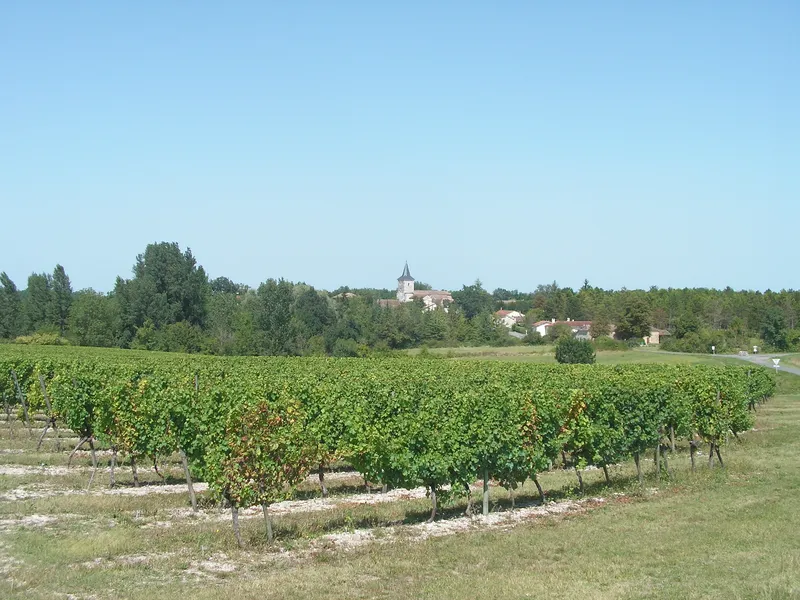 Vue de Plaisance, Dordogne