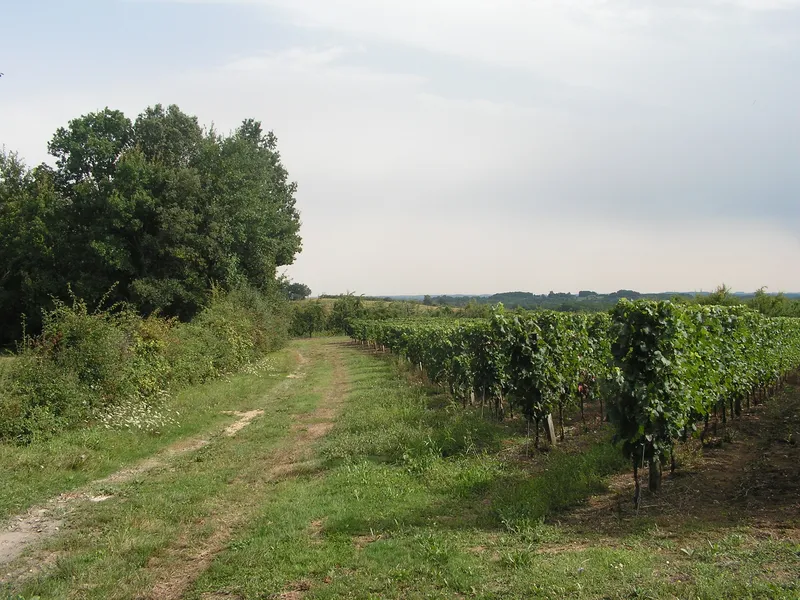 Vue de Saint-Perdoux, Dordogne